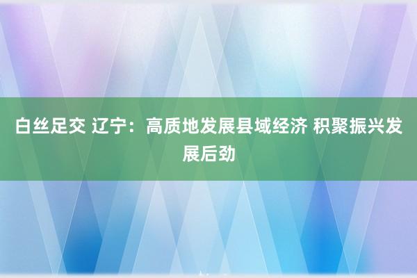 白丝足交 辽宁：高质地发展县域经济 积聚振兴发展后劲