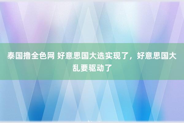 泰国撸全色网 好意思国大选实现了，好意思国大乱要驱动了