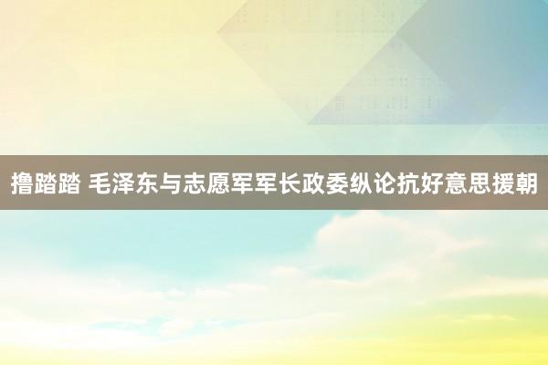 撸踏踏 毛泽东与志愿军军长政委纵论抗好意思援朝