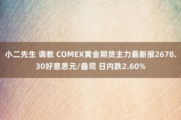 小二先生 调教 COMEX黄金期货主力最新报2678.30好意思元/盎司 日内跌2.60%