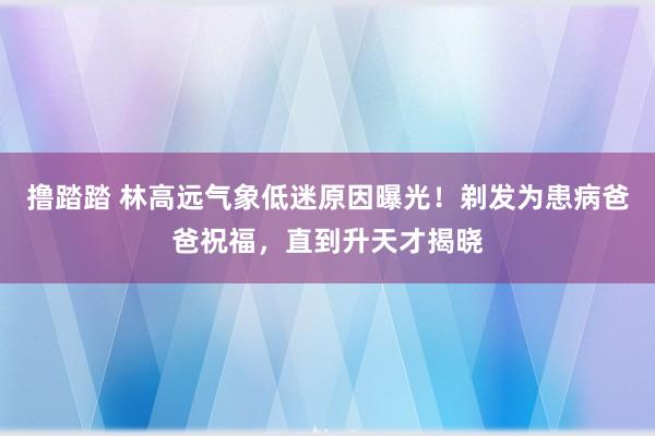 撸踏踏 林高远气象低迷原因曝光！剃发为患病爸爸祝福，直到升天才揭晓