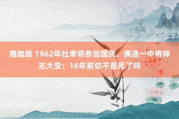 撸踏踏 1962年杜聿明参加国庆，偶遇一中将神志大变：16年前你不是死了吗