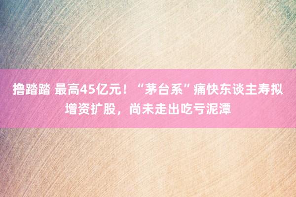 撸踏踏 最高45亿元！“茅台系”痛快东谈主寿拟增资扩股，尚未走出吃亏泥潭