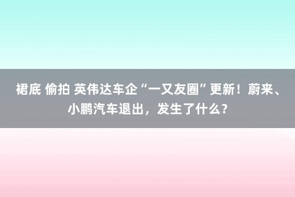 裙底 偷拍 英伟达车企“一又友圈”更新！蔚来、小鹏汽车退出，发生了什么？