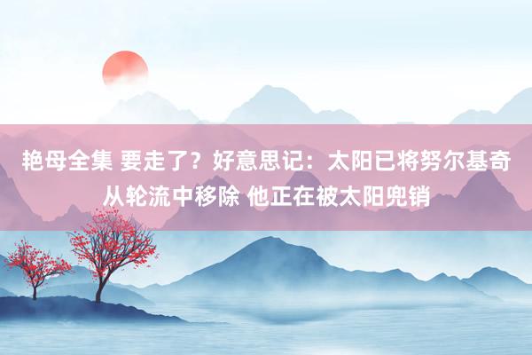 艳母全集 要走了？好意思记：太阳已将努尔基奇从轮流中移除 他正在被太阳兜销