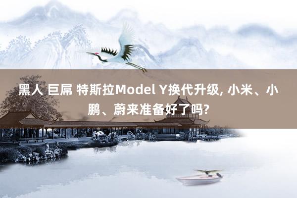 黑人 巨屌 特斯拉Model Y换代升级， 小米、小鹏、蔚来准备好了吗?