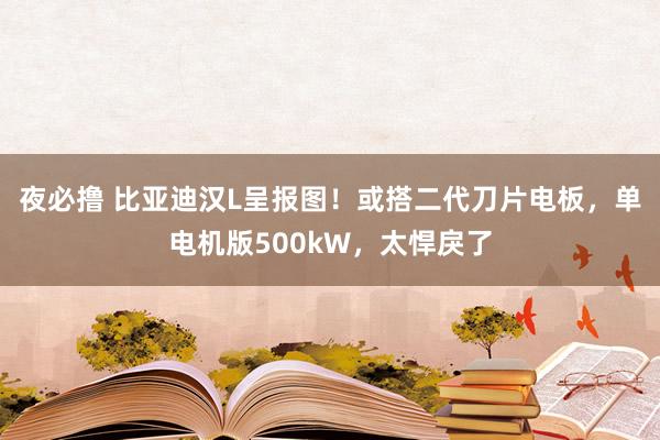 夜必撸 比亚迪汉L呈报图！或搭二代刀片电板，单电机版500kW，太悍戾了