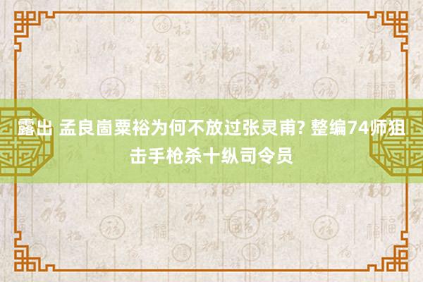 露出 孟良崮粟裕为何不放过张灵甫? 整编74师狙击手枪杀十纵司令员