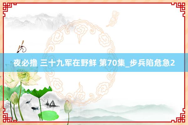 夜必撸 三十九军在野鲜 第70集_步兵陷危急2