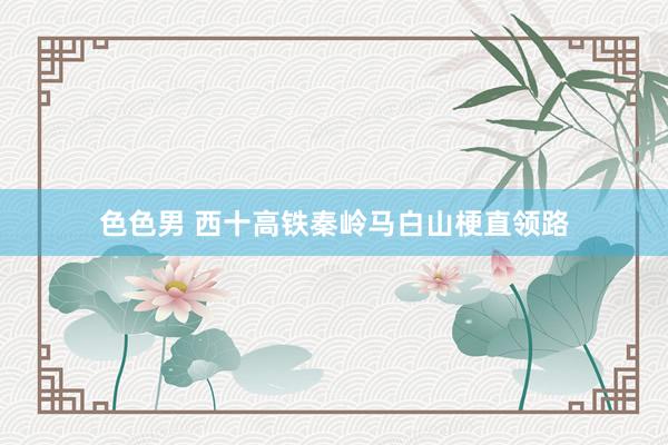 色色男 西十高铁秦岭马白山梗直领路